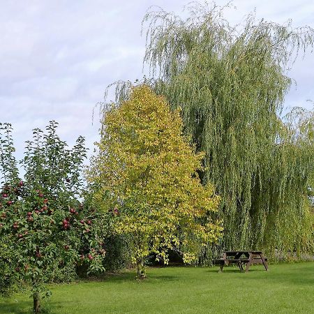 The Willows Wincanton Exterior foto