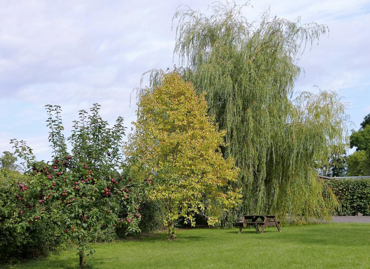 The Willows Wincanton Exterior foto